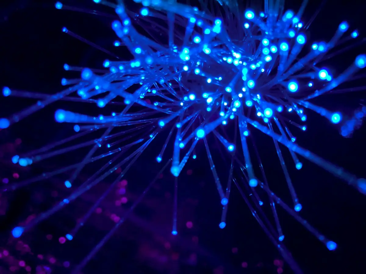 Blue fibre optic strands branching out like connections across a network, representing an attack surface